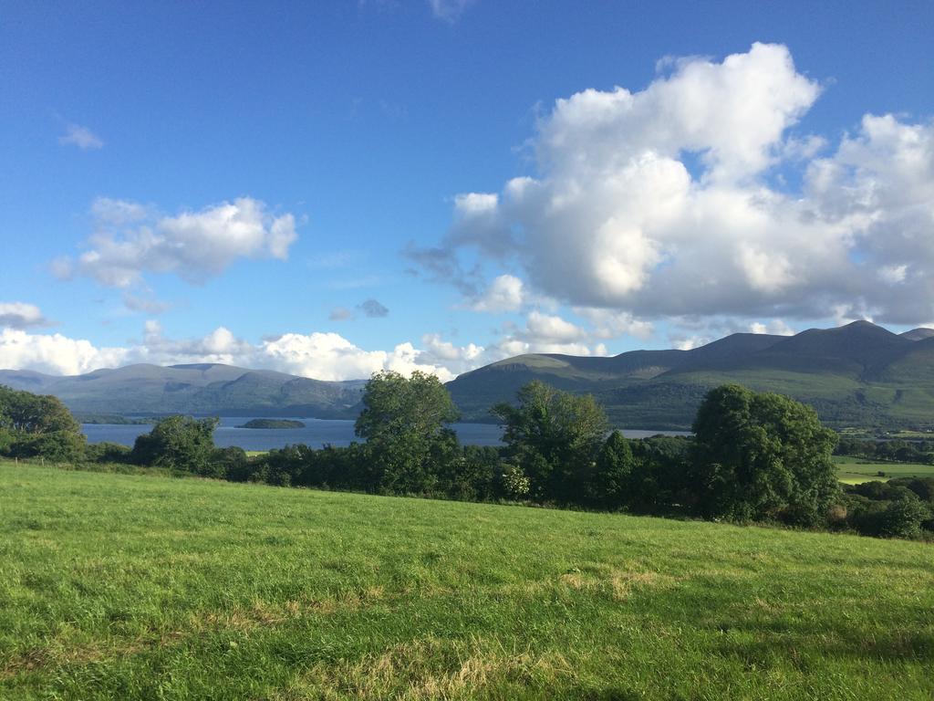 Dromin House Bed and Breakfast Killarney Værelse billede